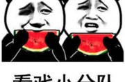 娱乐吃瓜表情包图片,笑翻你的表情包盛宴