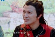 娱乐吃瓜君王鸥是谁呀,王鸥的星光之路