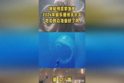 娱乐吃瓜2024,盘点年度热门事件与明星八卦